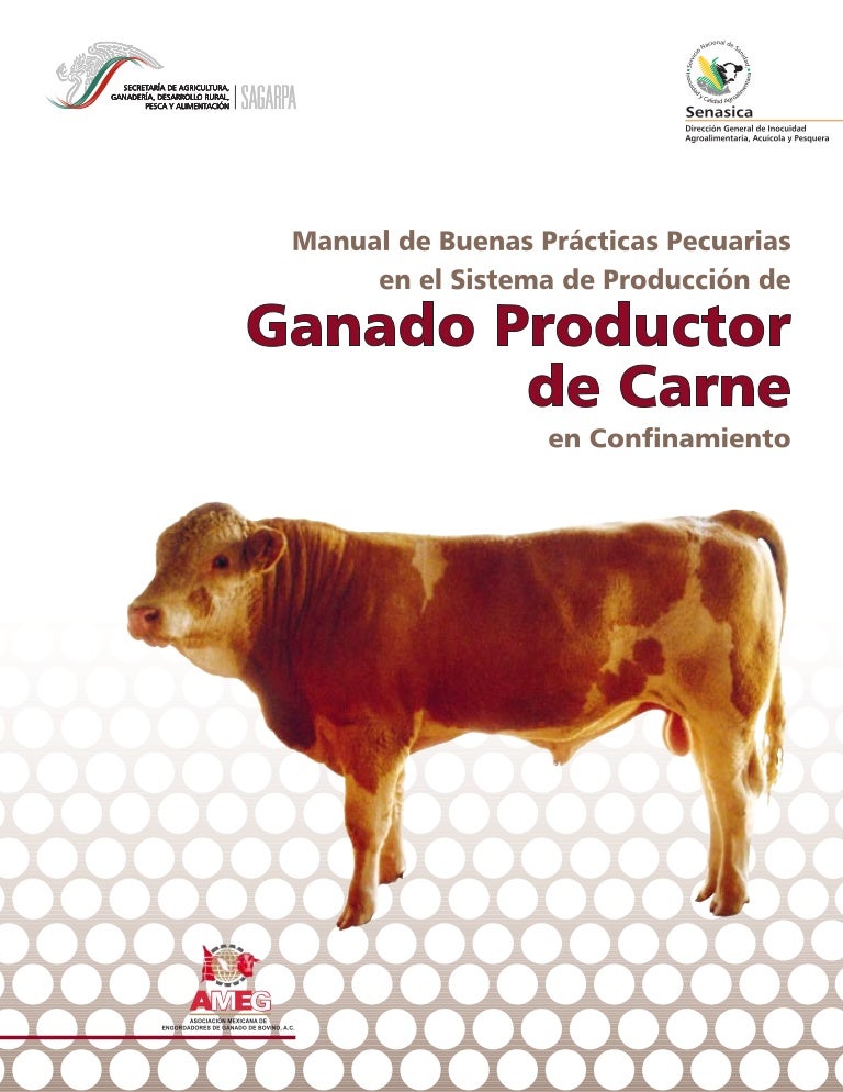 dieta para ganado bovino engorda pdf